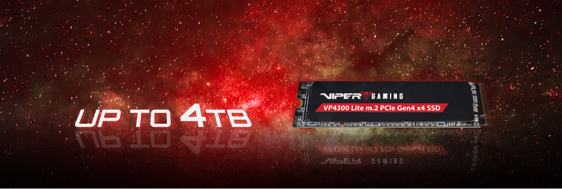 VP4300 Lite M.2 PCIe Gen4 x4 4TB כונן SSD