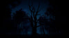 PS5 - Slender: The Arrival (For Playstation VR2)