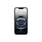iPhone 16E