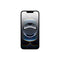 iPhone 16E