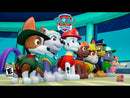 PS4 - PAW PATROL ON A ROLL