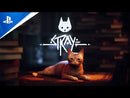 PS5 - STRAY