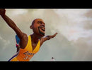 PS4 - NBA 2K PLAYGROUNDS בספריית החלפות