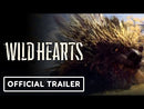 PS5 - WILD HEARTS