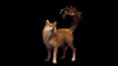 PS5 - Beast of Reincarnation Deluxe Edition